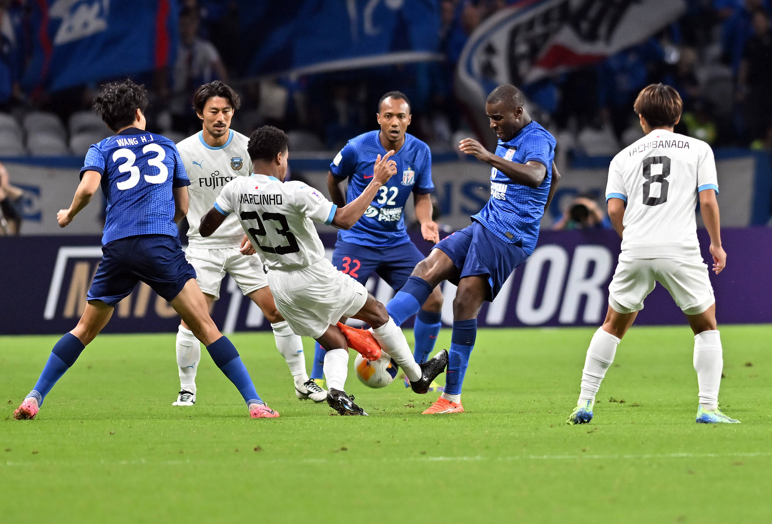 职业尊重的 职业尊重的