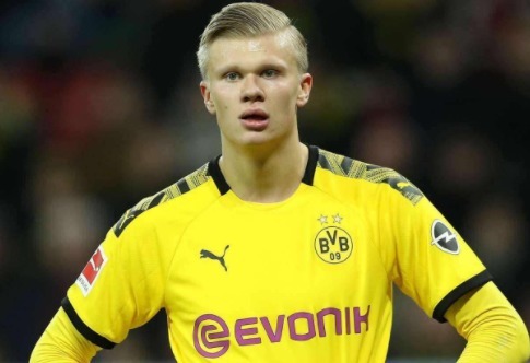 合金或复合 合金或复合